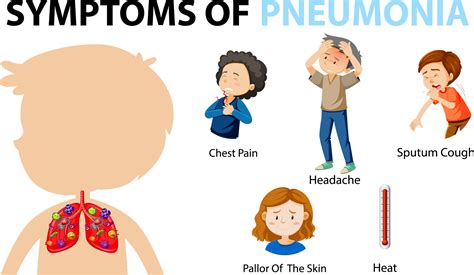 Symptoms Of Pneumonia Cartoon Style Infographic Illustration - Clip Art Library