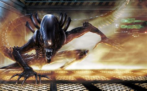 Alien Digital Wallpaper Aliens Xenomorph Creature Hd