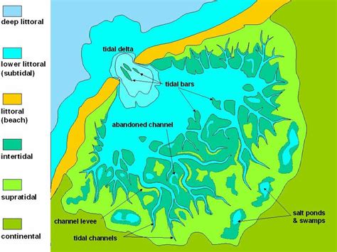 General sketch-map of a tidal plain, showing the typical tripartition ...