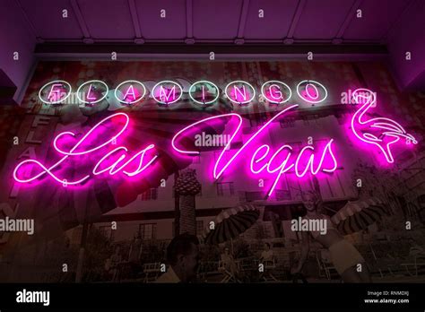 Logo of neon tubes in the entrance area, Casino and Hotel Flamingo Las Vegas, Las Vegas Strip ...