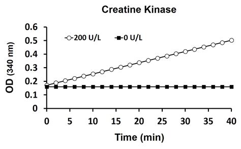 Creatine Kinase Activity Assay Kit (Colorimetric) (ARG82150) - arigo ...