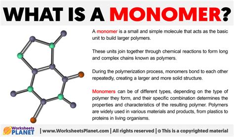 What is a Monomer | Definition of Monomer