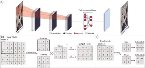 a) schematic CNN architecture; b) convolution example; c) pooling example. | Download Scientific ...