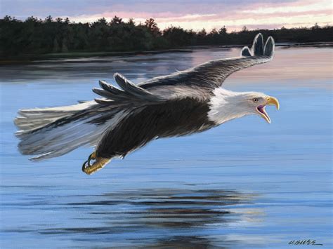 Dan Burr Illustrator: Eagle painting