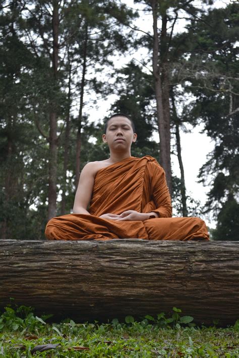 File:Buddhist monk meditation.jpg - Wikimedia Commons