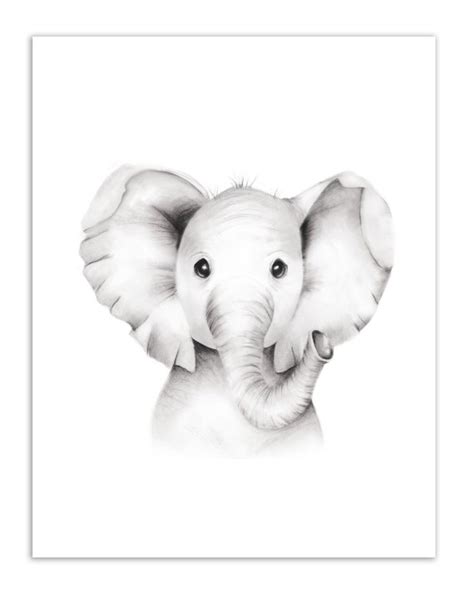 Discover more than 78 baby elephant sketch images super hot - seven.edu.vn