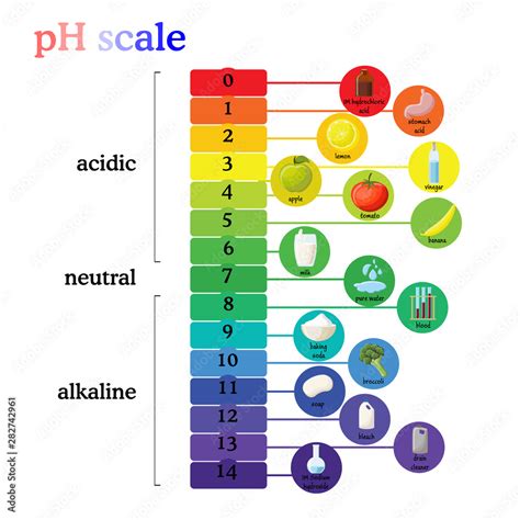 pH scale diagram with corresponding acidic or alkaline values for ...