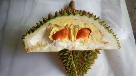 Durian Seed DIY: Creative And Useful Ideas