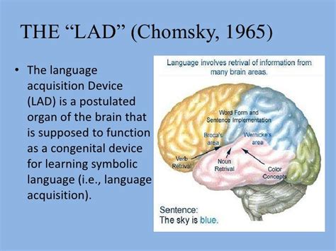 👍 Lad language acquisition device. Language acquisition device. 2019-01-09