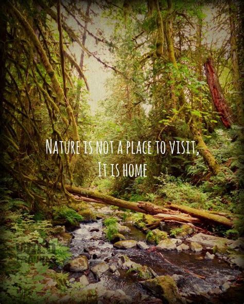 Forest Landscape Nature Photography, Nature Quote Prints, West Coast Wall Art, Landscape Photo ...