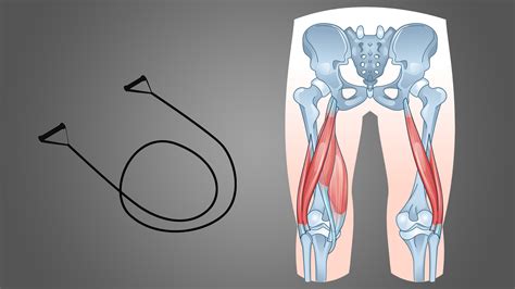 7 Best Resistance Band Hamstring Exercises (with Pictures!) - Inspire US