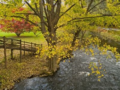 The Ultimate Guide to Pocono Mountains Fall Foliage