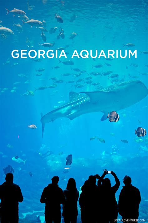 The Georgia Aquarium Atlanta GA - World's Largest Aquarium