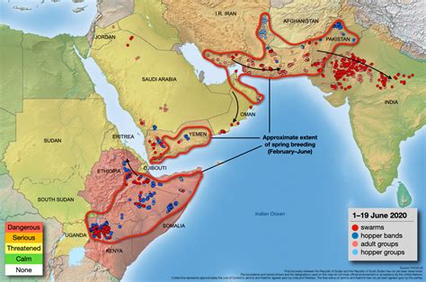 Millions in Africa face starvation as huge locust swarms descend | World Economic Forum