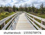 Landscape with marsh and boardwalk image - Free stock photo - Public ...