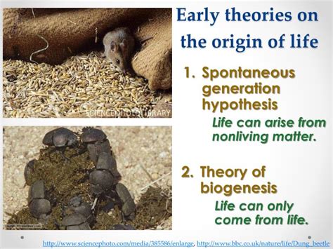 PPT - The Origin of Life PowerPoint Presentation - ID:6122829