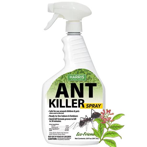 Best Indoor Ant Killer Spray for Your Home