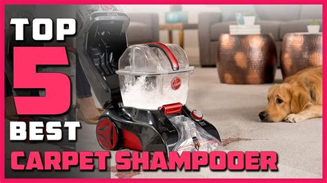 Best Carpet Shampooer in 2023 - Top 5 Carpet Shampooers Review - YouTube