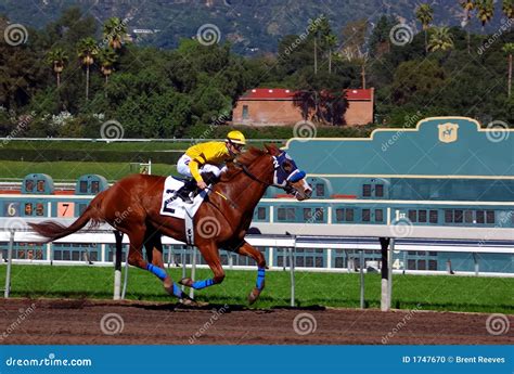 Thoroughbred Horse Racing stock photo. Image of reins - 1747670