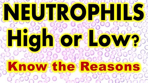 Neutrophils count; High or Low??? Know the Reasons - YouTube