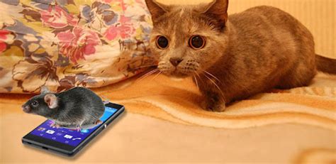 Mouse on the Screen for a Cat - Apps on Google Play