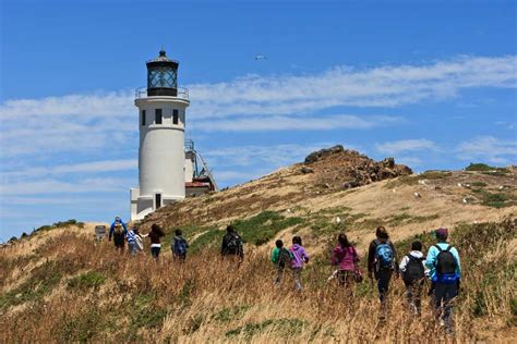 Anacapa Island History and Culture - Channel Islands National Park (U.S ...