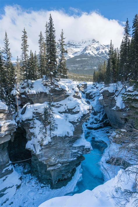 Jasper Alberta: The Ultimate Winter Itinerary for Adventurous Travelers ...