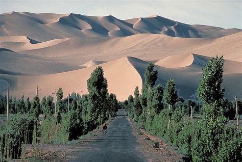 Gobi Desert, China 3 Photograph by Carl Purcell