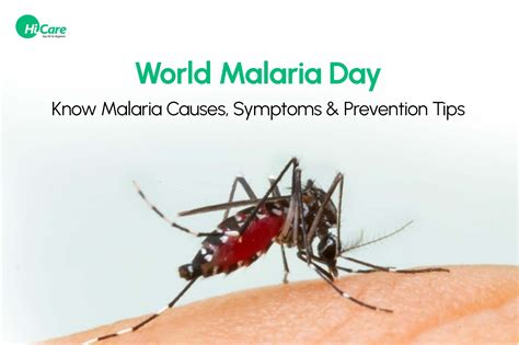 World Malaria Day 2023 - Check Malaria Causes, Symptoms & Prevention Tips