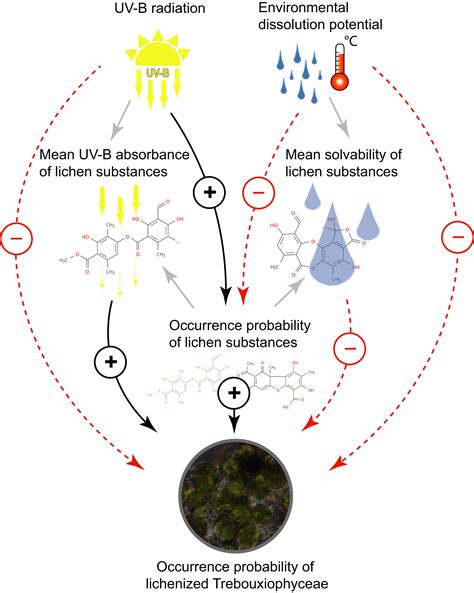 Chemical properties of key metabolites determine the global ...