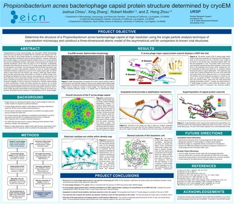 Propionibacterium acnes bacteriophage capsid protein structure determined by cryoEM | PPT