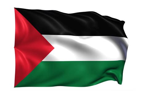 Palestine Waving flag Realistic Transparent Background 15309537 PNG