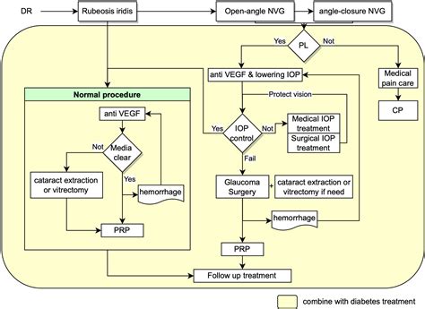 Frontiers | The mechanism and therapeutic strategies for neovascular ...