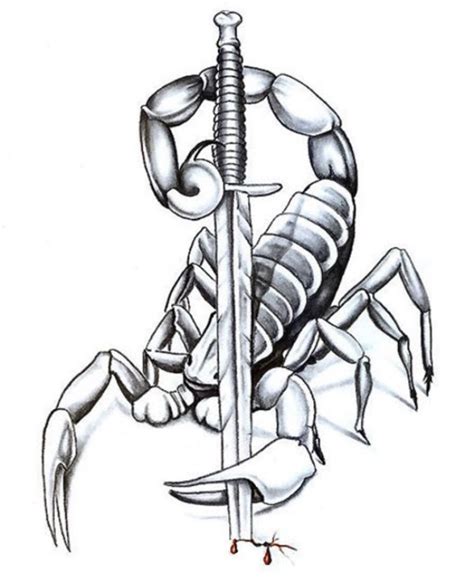 Scorpion Tattoo Drawing at GetDrawings | Free download