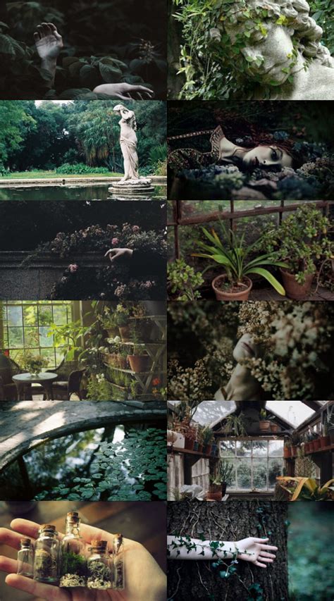 ars-aesthetica: “Garden Witch, requested by anon ” | Witch aesthetic ...