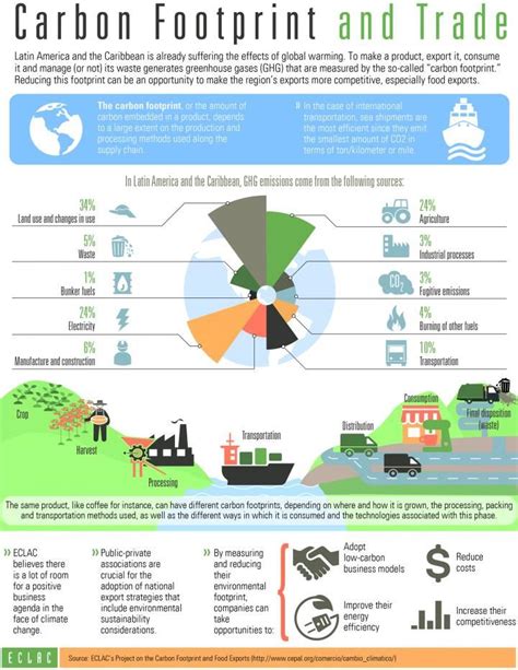 Pin on carbon footprint infographics