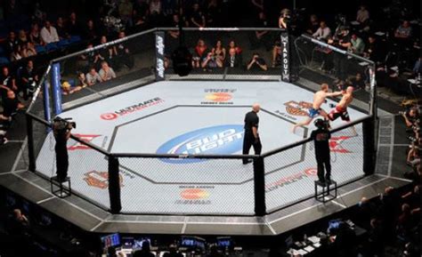 PROLAST | PRO MMA 30' X 30' OCTAGON MMA CAGE | PROLAST.com