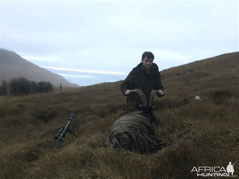 Hunt Feral Goat in Scotland | AfricaHunting.com