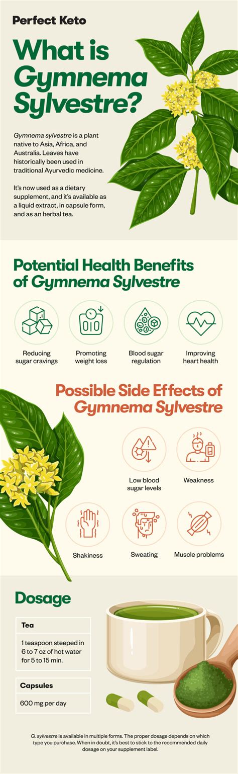 Gymnema Sylvestre: Uses, Benefits, Side Effects, and More - Perfect Keto