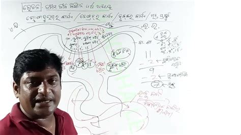 ରେଚନ Part 10 | Excretion in Odia | ଗ୍ଲୋମେରୁଲସର କାର୍ଯ୍ୟ | Glomerulus Function | Nephron Function ...