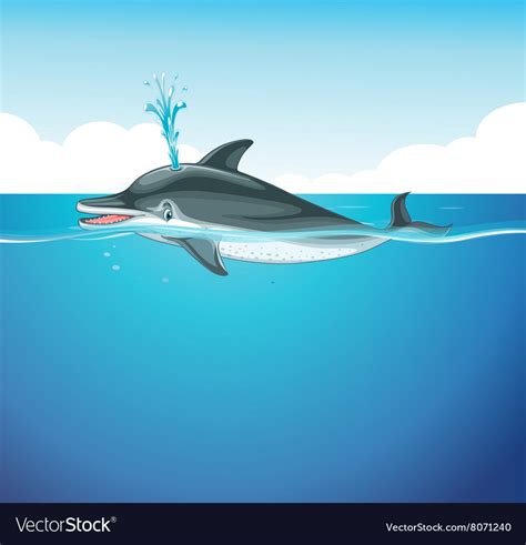 Dolphin splashing water in the sea Royalty Free Vector Image