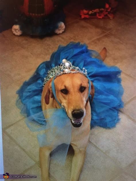 DIY Princess Dog Costume | Creative DIY Costumes - Photo 2/3