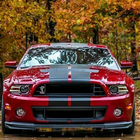 Un carro rojo | Muscle cars, Ford mustang, Mustang shelby