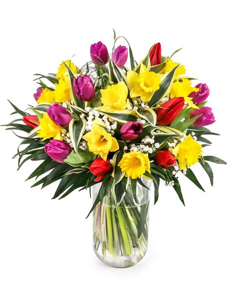 Daffodils and tulips bouquet | Magnolia