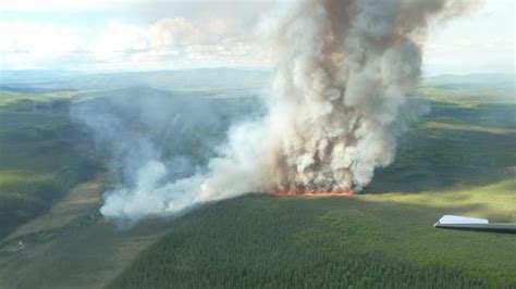 Lightning starts forest fire south of Stewart Crossing, Yukon | CBC News