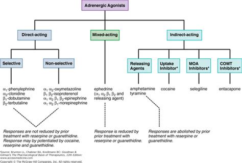 6 - Adrenergics Flashcards | Quizlet