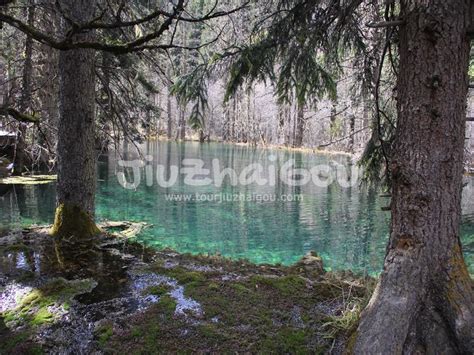 3-day Mounigou & Jiuzhaigou Winter Tour, Cheap Jiuzhaigou Tour