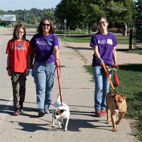 Adult Volunteer Programs – Longmont Humane Society