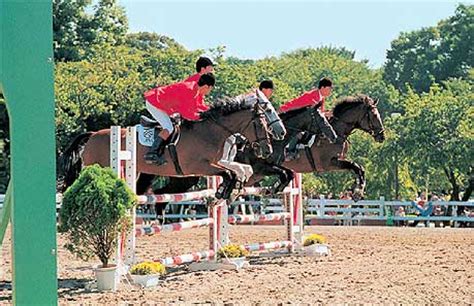 Equestrian Park｜Japan Racing Association｜Horse Racing in Japan