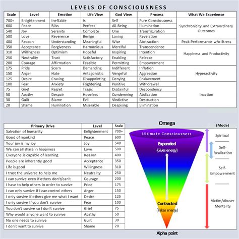 Understanding Levels of Consciousness